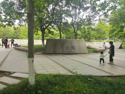 青島一日 海風(fēng)、親人、藍(lán)莓酒香